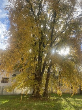 Что удерживает нас на этой земле: размышления о жизни и переходе