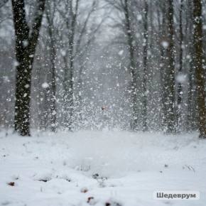 ��� ������ ���������� ���������� � ���������: ������ �������� �����?