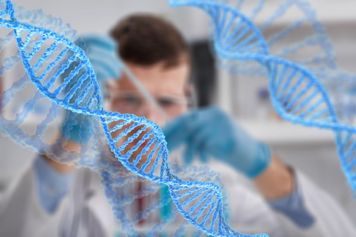 ��� ����� ����� ��������� ���� ��������: �������� �����������