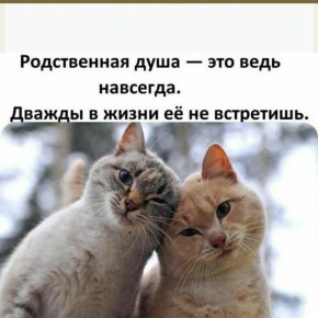 ��������� ���������: ��� ��� ����������?