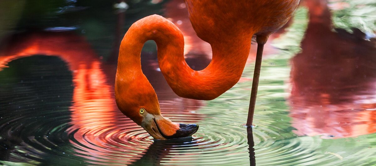 Нарциссизм и моральные дилеммы: поиски правды в мире крайностей