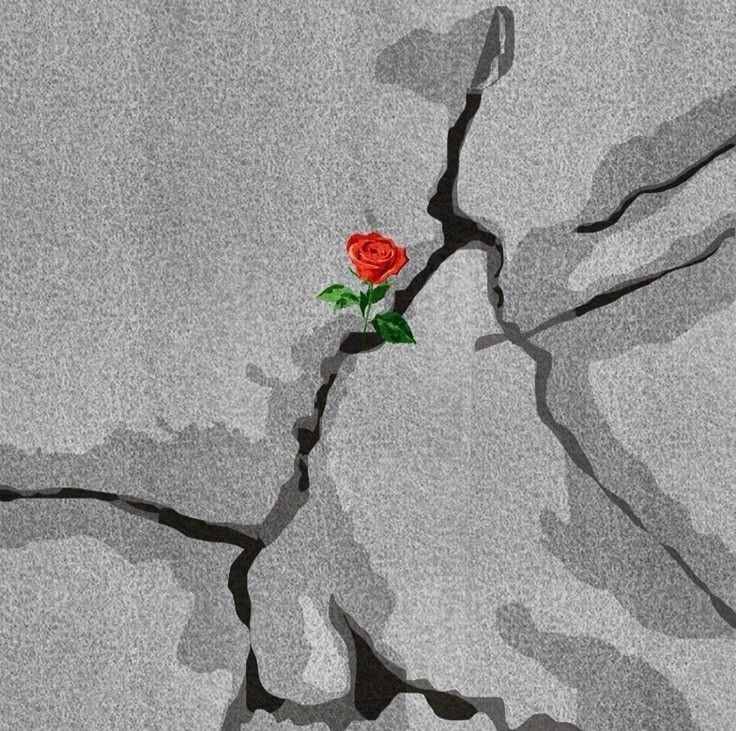 ��� ������� ������ �� ���� �������� � �����