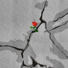 Как гордыня влияет на наше здоровье и жизнь