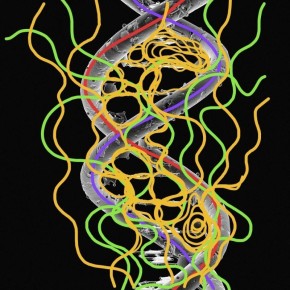 Тайны самовосстановления: как гармония влияет на здоровье