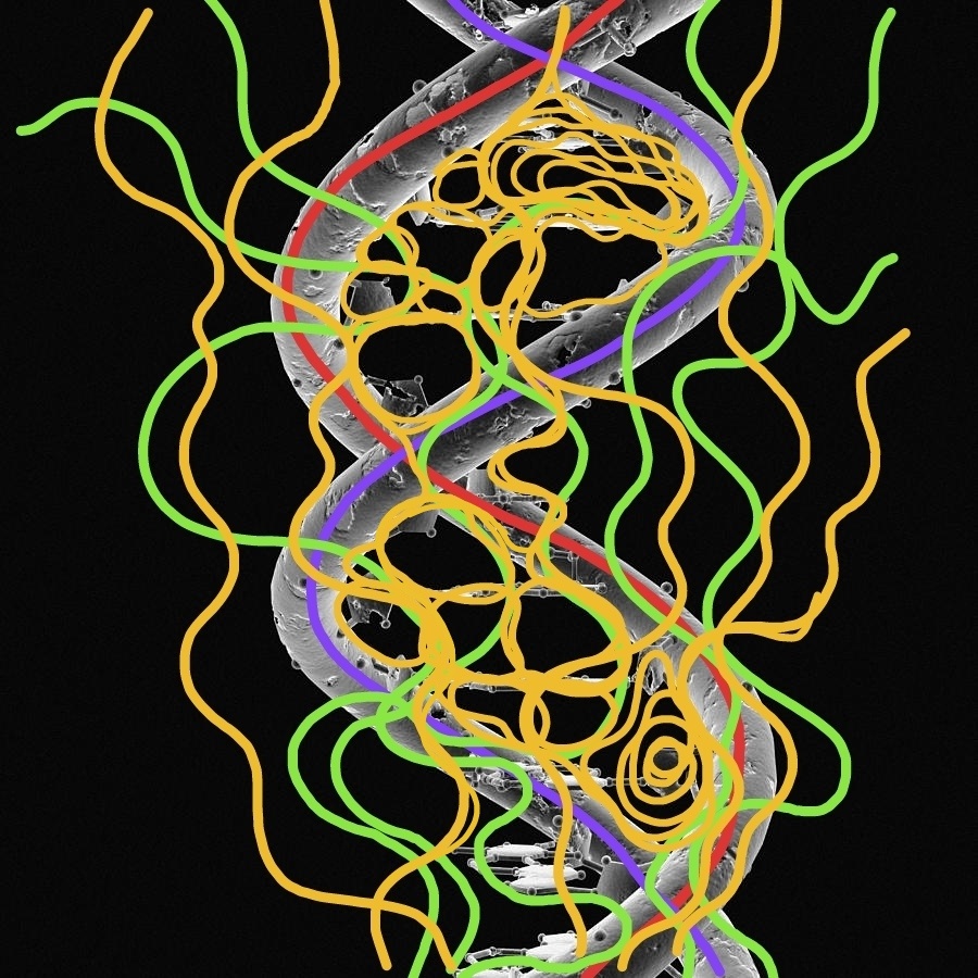 Тайны самовосстановления: как гармония влияет на здоровье