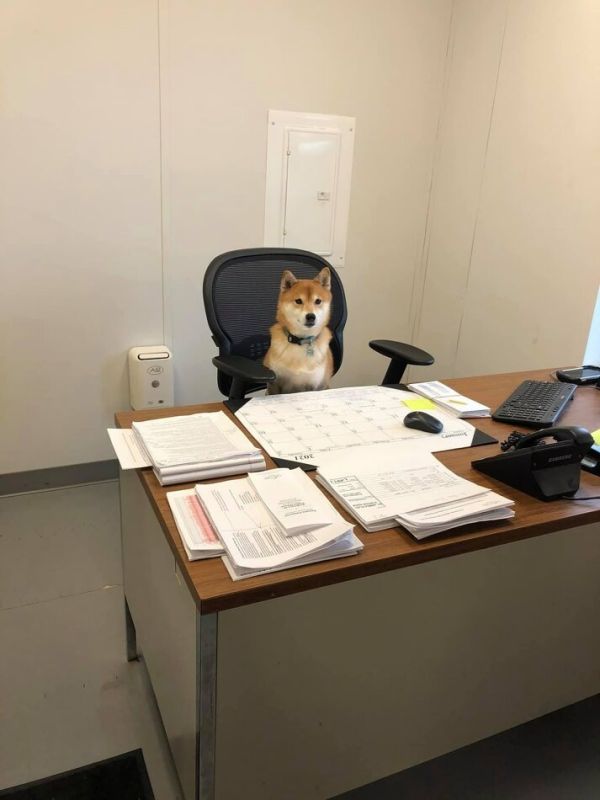 ��� ���������� � ����������� ��������� �� ���� � �������� �������?