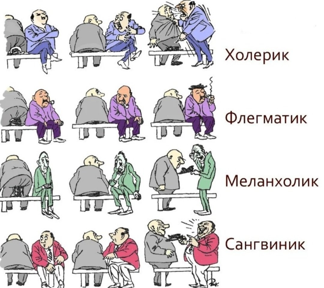 Темпераменты и их влияние на нашу жизнь