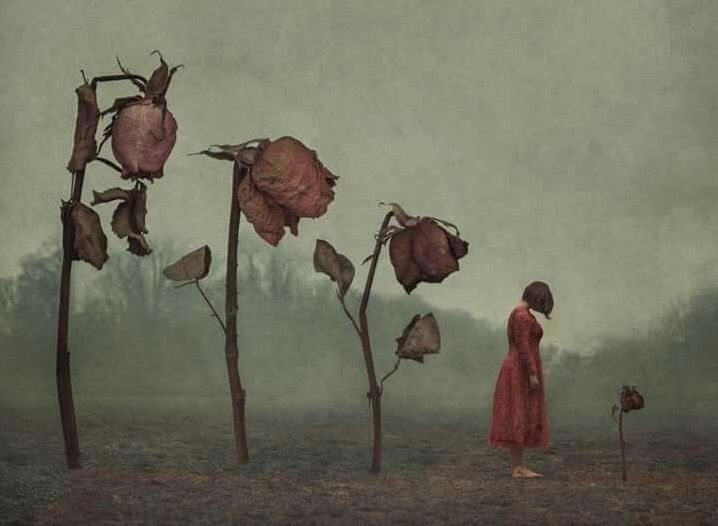 �������� ��������� � ����������: ��� ����� �� �������������� ����������