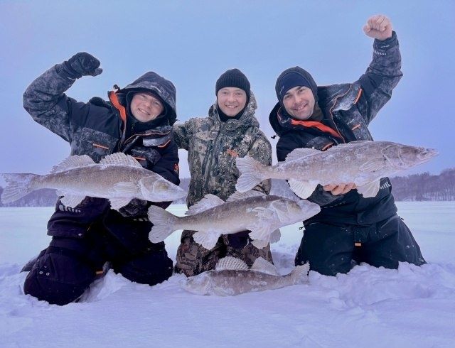 ����������� � ������� �����