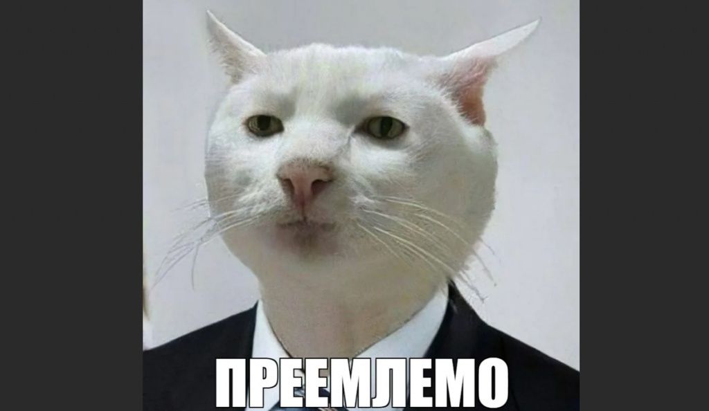 Приемлемо: философия внутреннего спокойствия