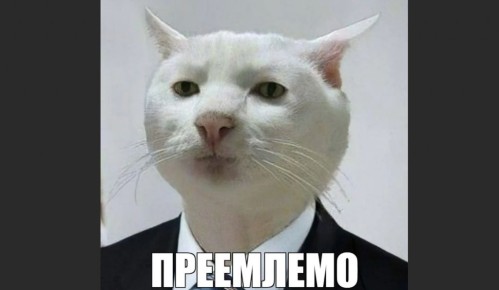 Приемлемо: философия внутреннего спокойствия