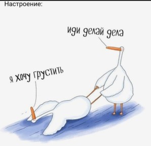 ��� ���������� �� ����������� ������������ � ������