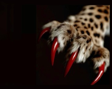 Когда свобода становится ловушкой: трагедия Кати Королевой