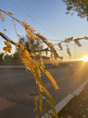 ��� ���������� �� ������� ��������������������