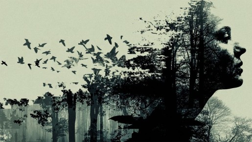 ����� �������� ����� ������ ���� ��������