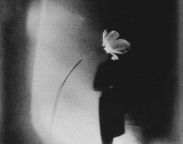 Женщина, коллекционирующая зло: что стоит за этой странной страстью?