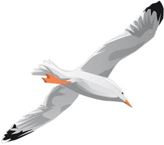 ������ ���������: ��������� �������� � �������� ����������