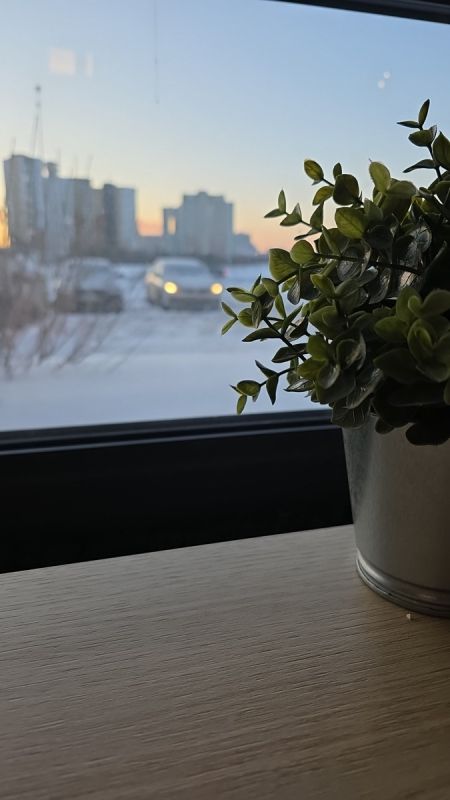 ����� ������ ������� ������ ���������