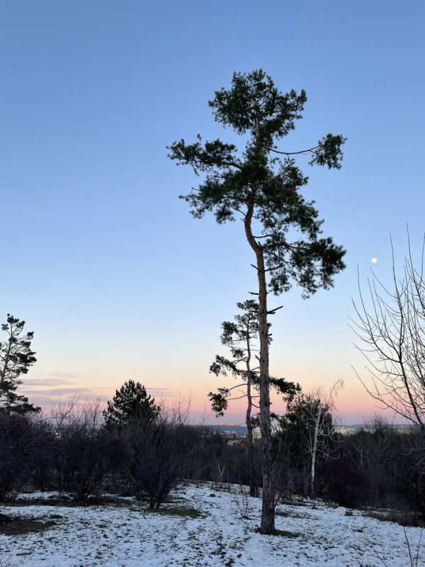 ��� ����� �������� �����: ������ ���� � ���������� ��������