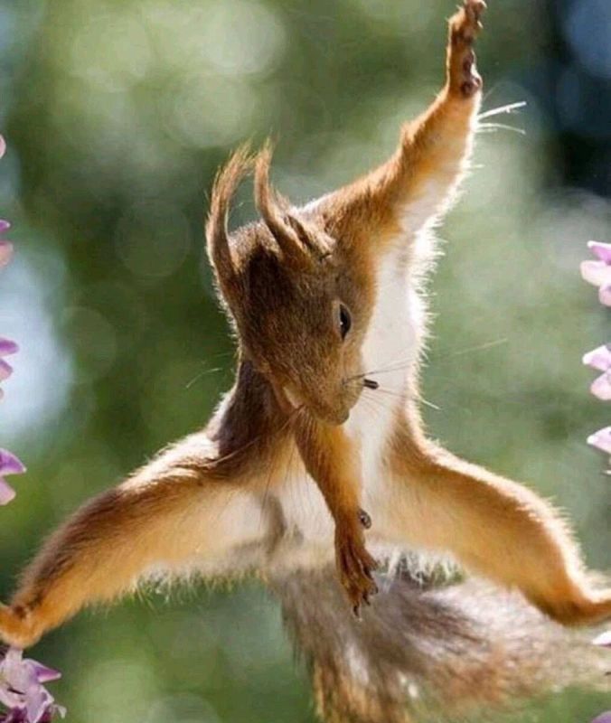 �������� ����������� ��� ��������� � ��������� ��������