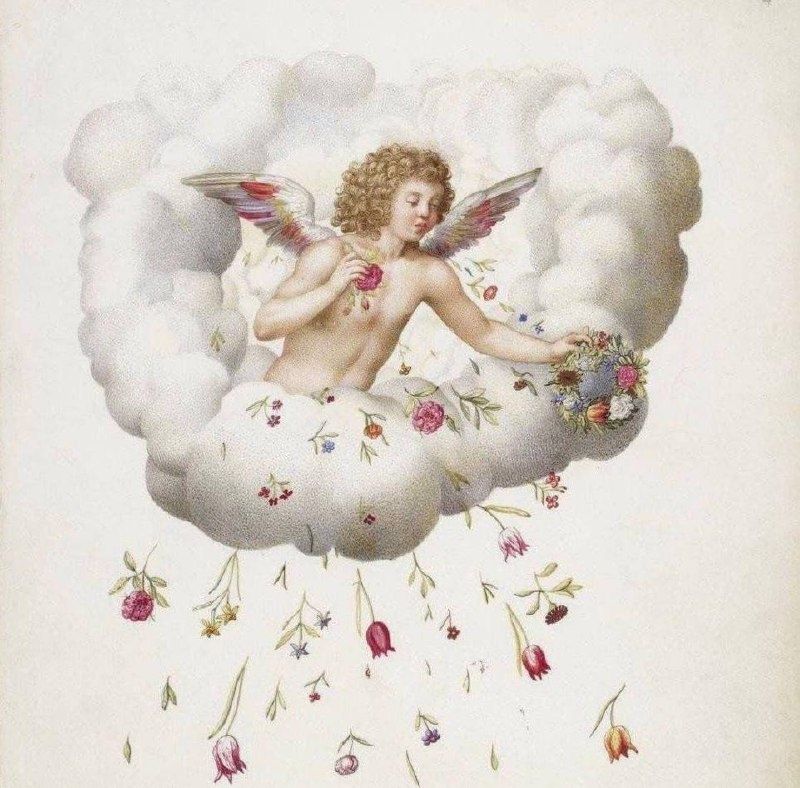 ��� ������ �����, ������� ��������� ���� ����� ��������