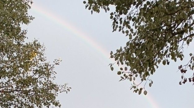 �������� ��������: ����� ����� � ����� ������