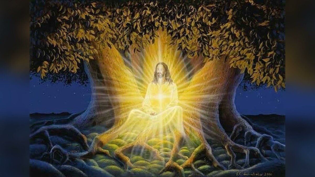 ��� ����� � ��������� ����������� � ��������������