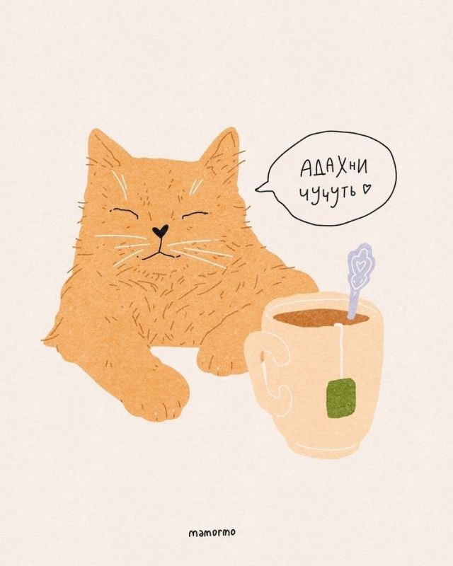 ��������� ��� ��������: ��� ����� ���� � ������� �������