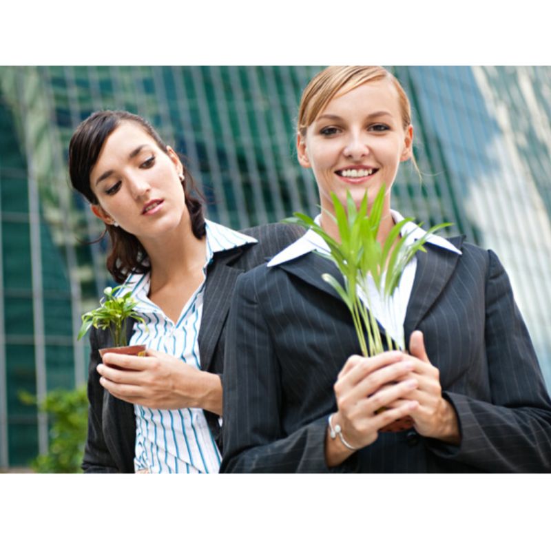 Как зависть может стать вашим союзником: секреты здоровой конкуренции