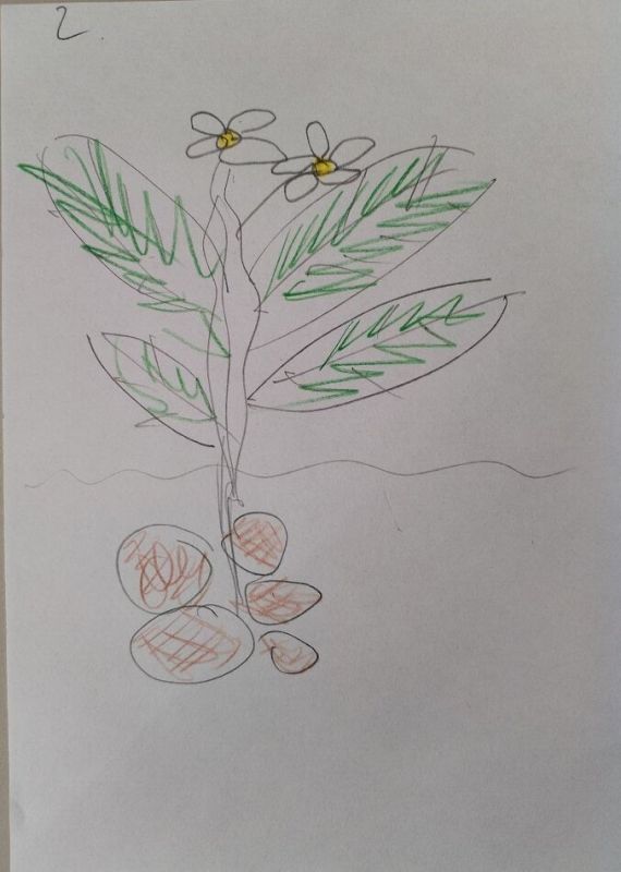 �������������� �����������: �������� ���� ���������� ������