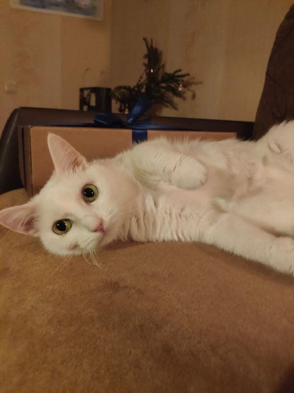 ��� �������� ��������� ��� � ��������: �������� ������ �������