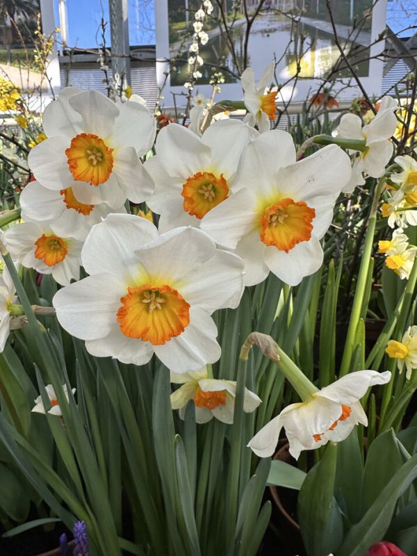 ���������� ��� ������� ������������ �������: ������ ������ � ���������