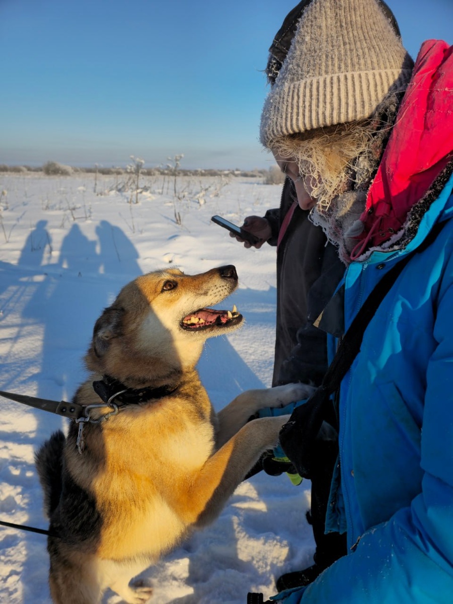 Мира: собака, способная увидеть душу