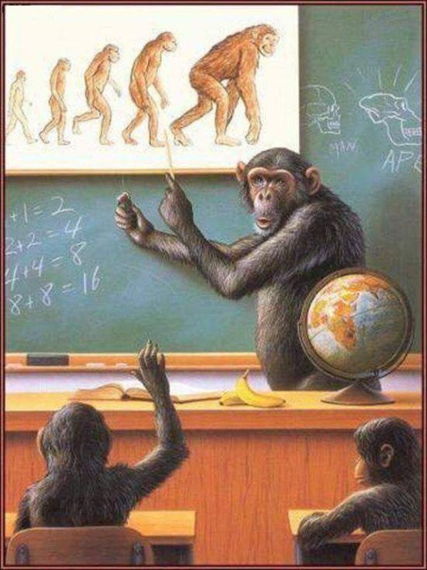 ���� �� ������: � �����, ��������������� � �����������