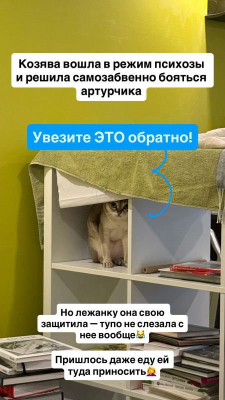 ������� �������: ��� ���������� � �������� � ������ �������