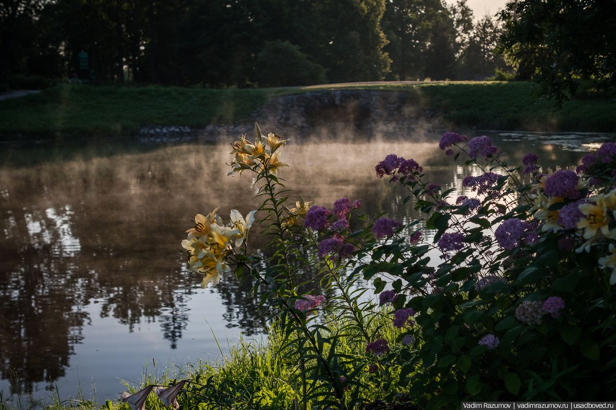 �������� �������� ������� � �����������