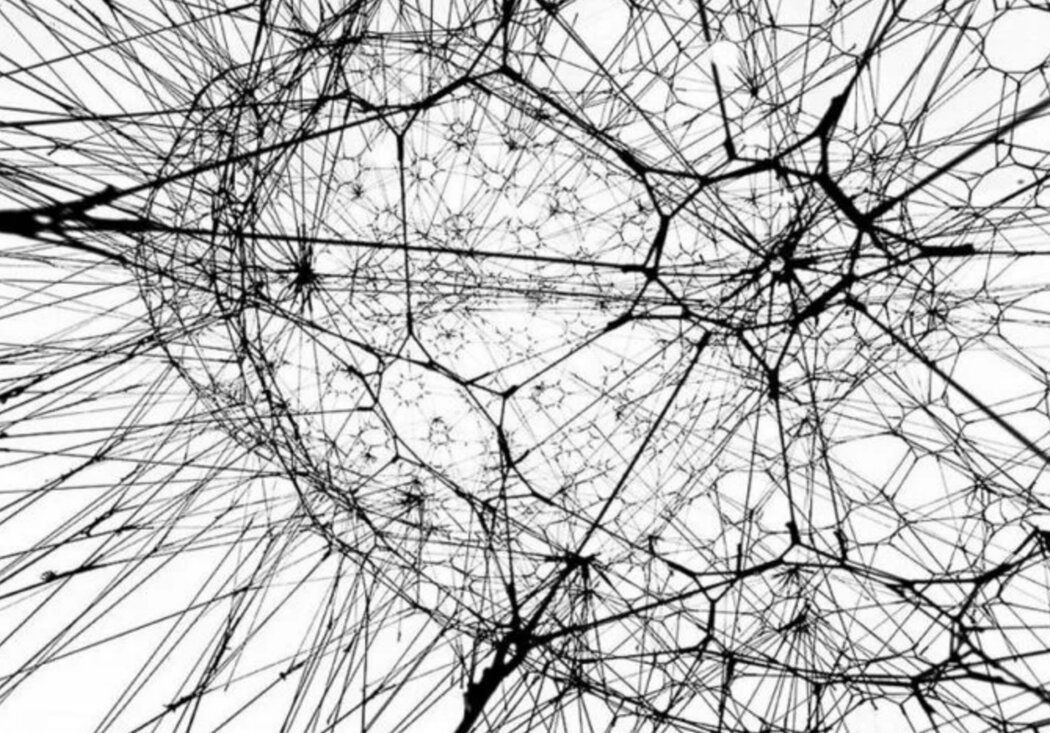 ������ ���������� ��������: ��� ����� ������