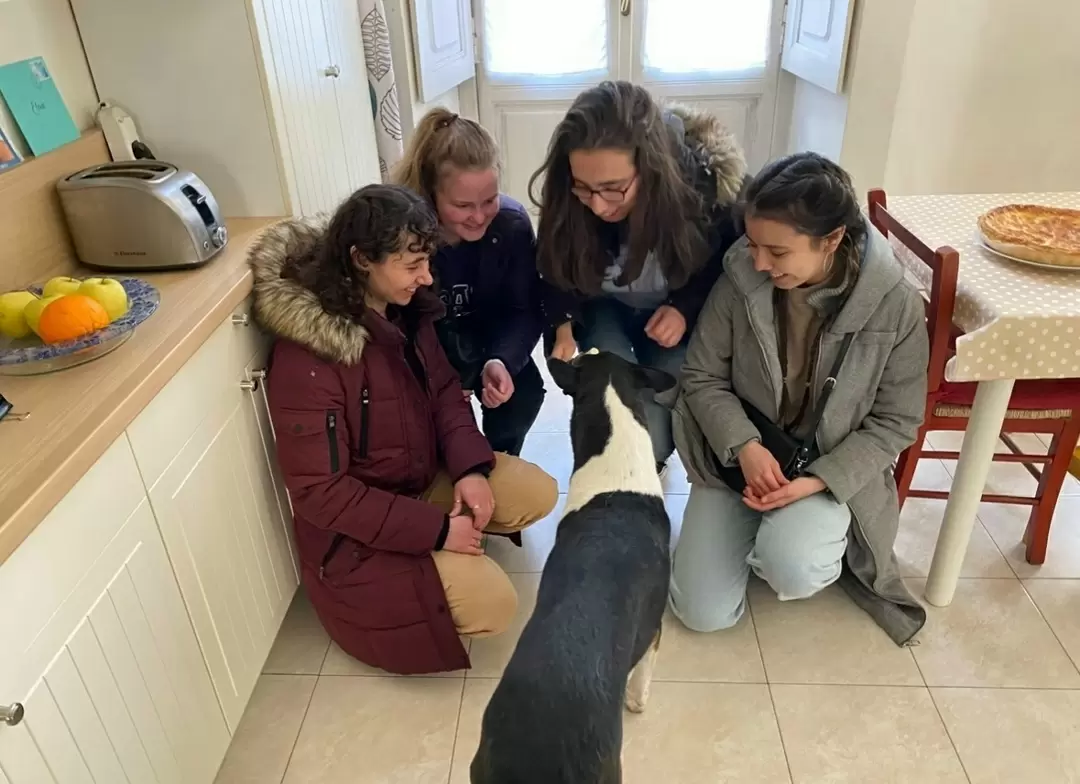 Как научиться нравиться людям: секреты успешной коммуникации