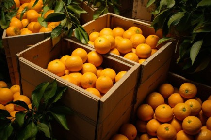 Когда молчание говорит громче слов