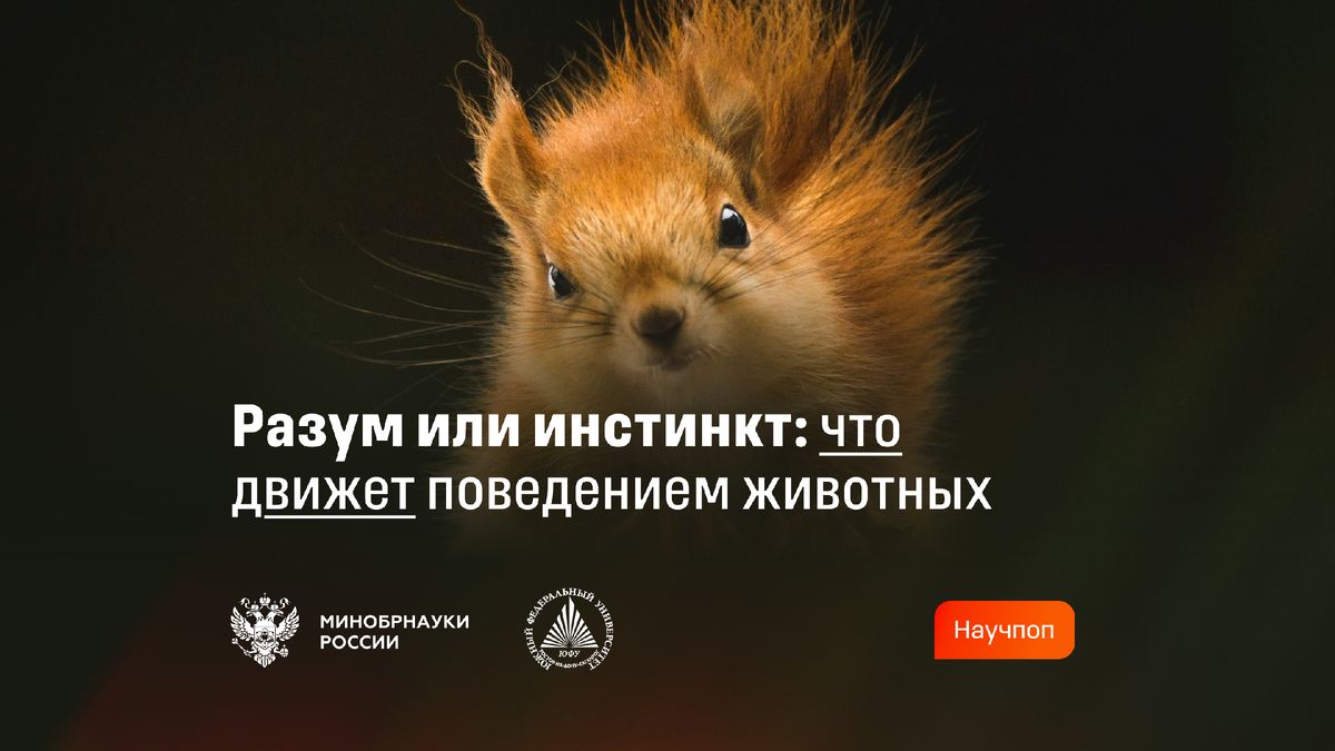 ����� ��������� ������: �� ��������� � ����������� ���������