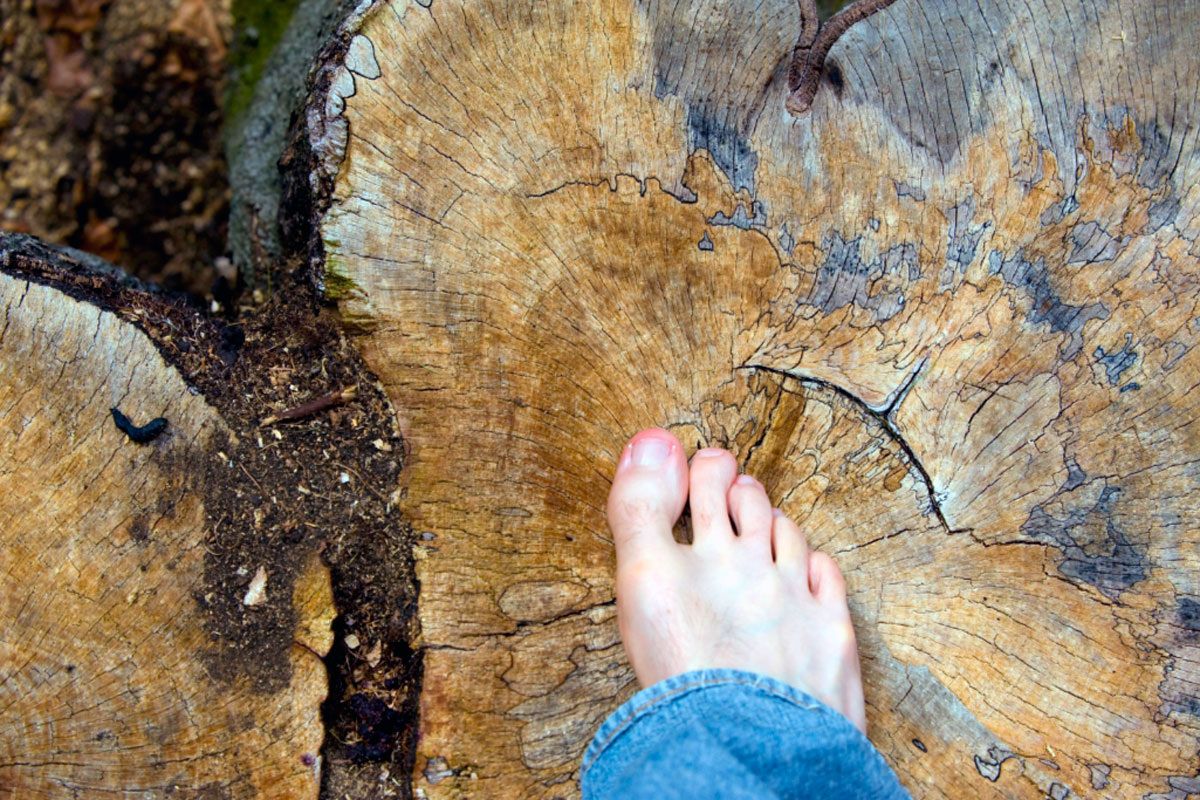 ��� ������ ������� ������ ���� ���������� ����