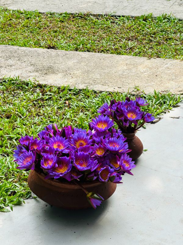 ��� ��������� ���������� ������ � ����� ����