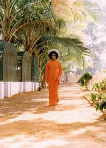 ��� ���������� ������ �������: ���� �� ������ �������