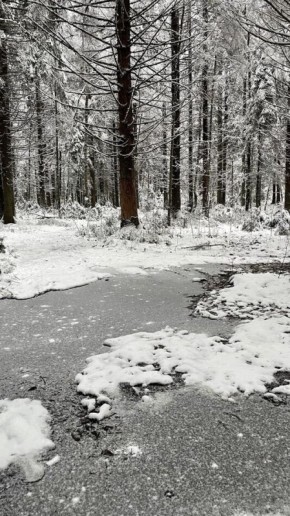 ����� �������� ��������: ���� � ���������� �������������