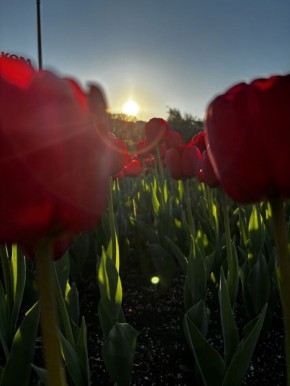 ������������� � ����� �����: ��������� ������� ��� ����� ����������?