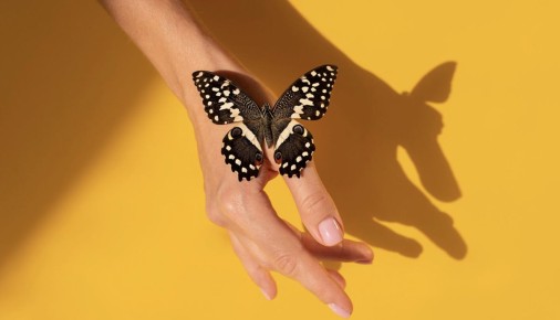 ������� ��������: ������� ������ ���������� � �������� � �������