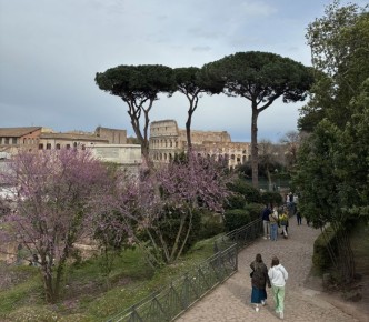 �������� �����������: �� ������ �� �������