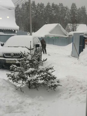 ����, ����� � ���������� �����������: ��� �������� ���� � ������� �������