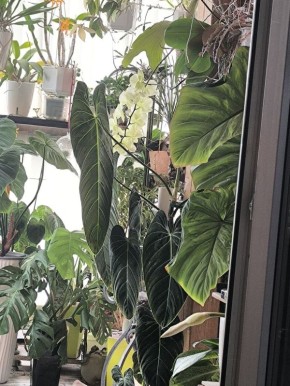 ����������� �������: ��� ���������� ���� ����������� ������