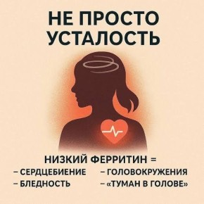 ��������� ������������ � ���������� ���������: ���������� ���� � �������� �������